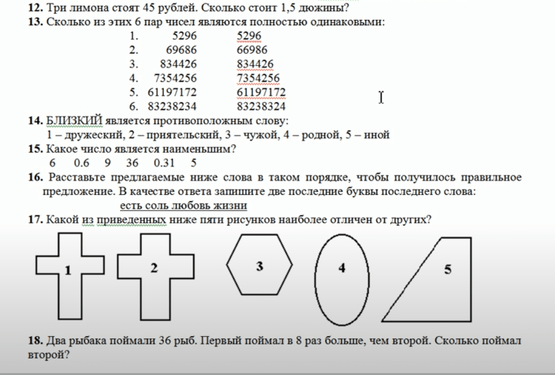 кот тест на госслужбу